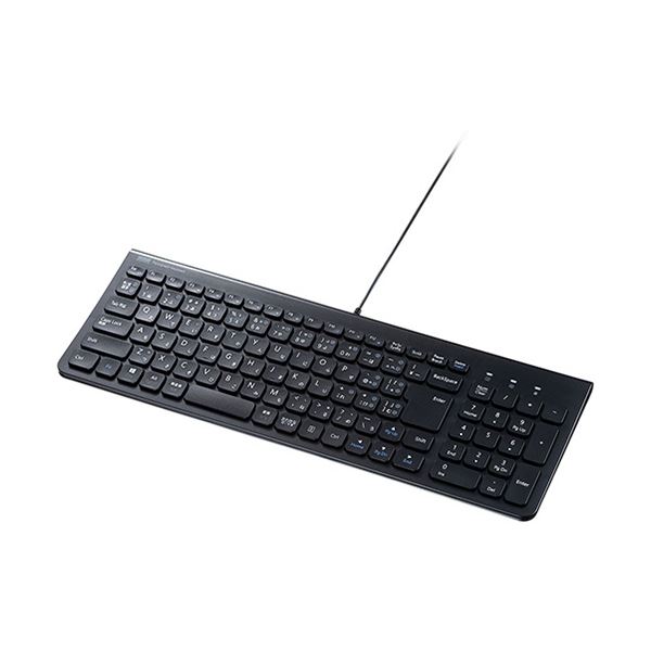 サンワサプライ USBType-Cスリムキーボード ブラック テンキー付き SKB-SL31CBK 1台〔代引不可〕の通販は 6,922円