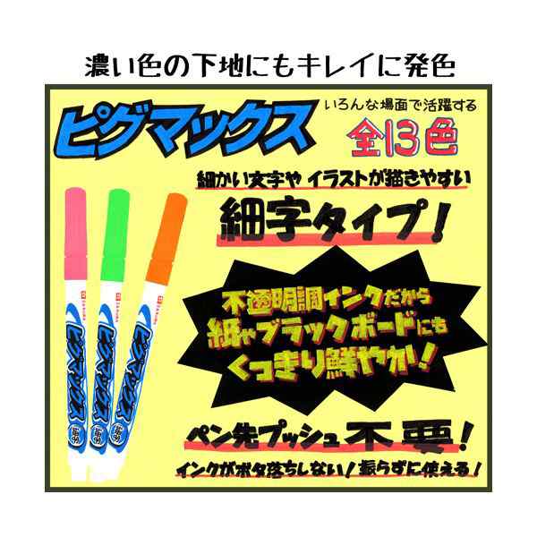 まとめ）サクラクレパス 水性マーカー ピグマックス 細字 12色セット