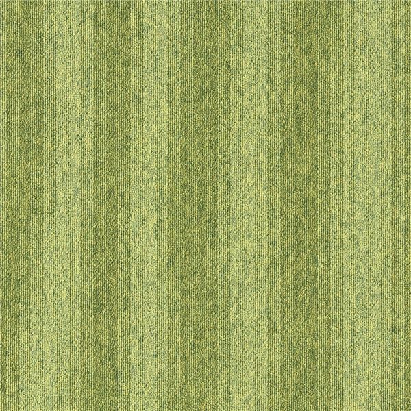 業務用 防炎・静電 タイルカーペット 約50×50cm 20枚入 ECOS LP-2066N〔代引不可〕の通販は