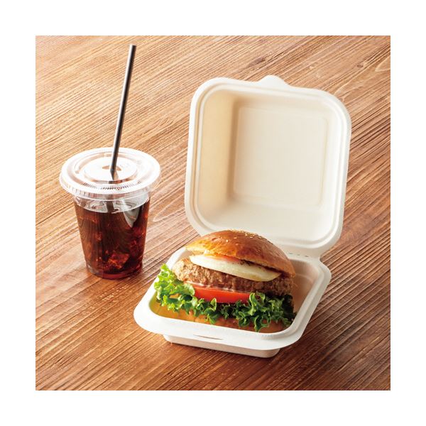 （まとめ）大黒工業 バガスモールドパック MP-1 1パック（50枚）〔×10セット〕 代引不可 まとめ）大黒工業 バガスモールドパック MP-1 1パック（50枚）×5