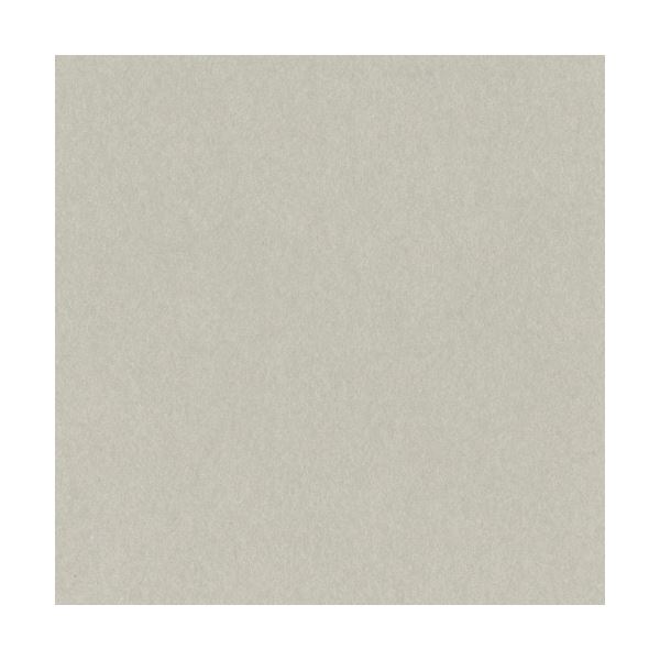 （まとめ）リンテック ニューカラーR 四つ切 あかるいはいいろ 4NCR-113 1パック(100枚)〔×5セット〕〔代引不可〕の通販は色画用紙