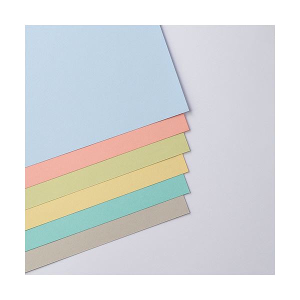 （まとめ）リンテック ニューカラーR 四つ切 あかるいはいいろ 4NCR-113 1パック(100枚)〔×5セット〕〔代引不可〕の通販は