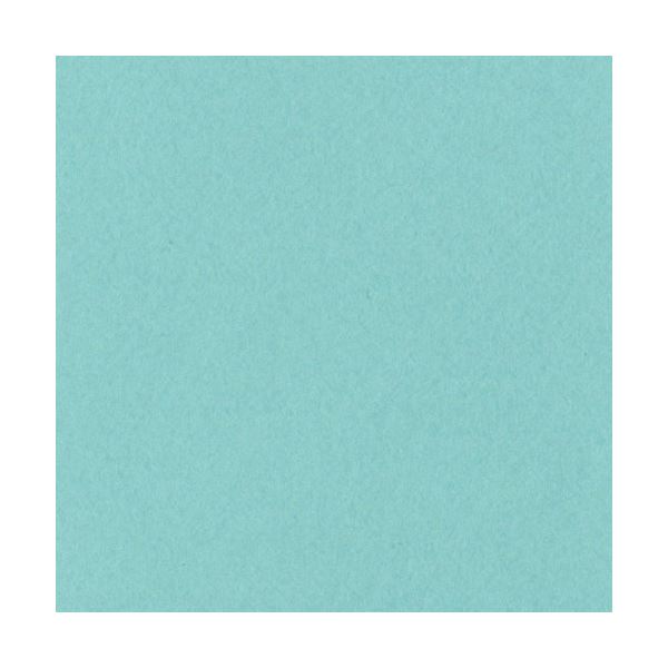 （まとめ）リンテック ニューカラーR 四つ切 あかるいあさぎ 4NCR-114 1パック(100枚)〔×5セット〕〔代引不可〕の通販は 15,343円