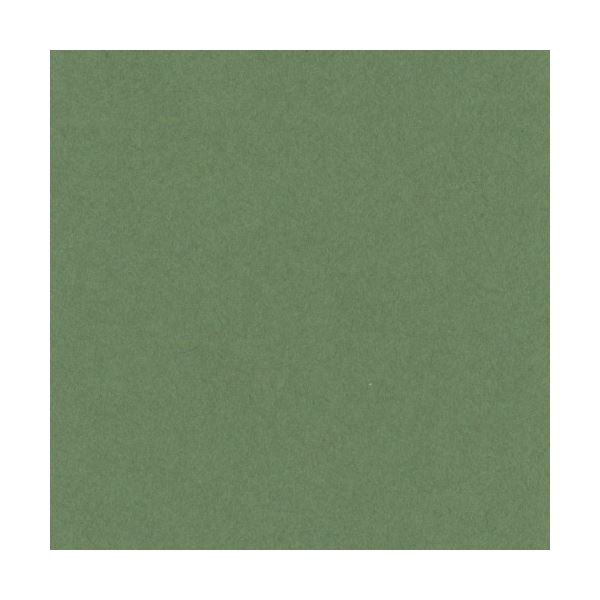 （まとめ）リンテック ニューカラーR 八つ切 オリーブ 8NCR-316 1パック(100枚)〔×5セット〕〔代引不可〕の通販は