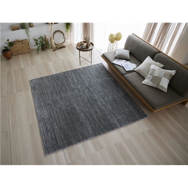 スミノエ 洗える ラグ エクリュ 約幅190×長さ190cm グレー 日本製〔代引不可〕の通販は 27,227円