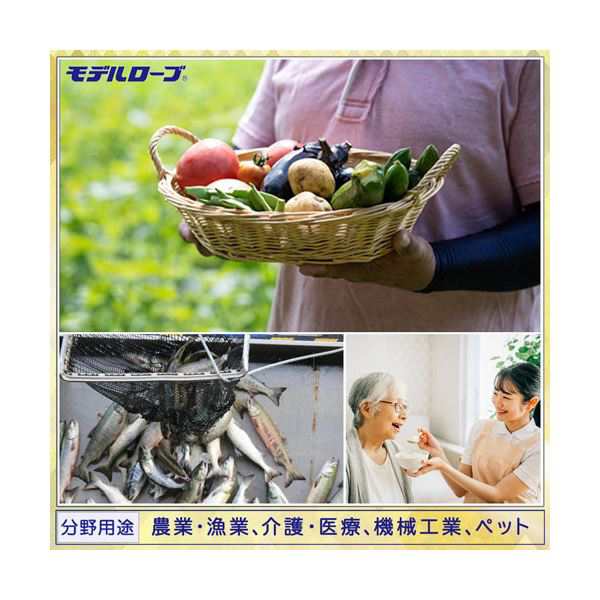 エステー モデルローブ No.930ビニール使いきり手袋(粉付) LL 半透明 1セット(1200枚:100枚×12箱)〔代引不可〕の通販は