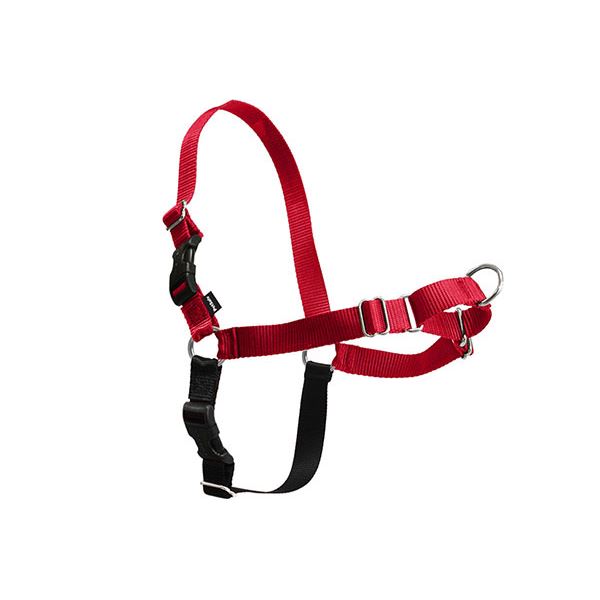 イージーウォークハーネス S レッド (犬用品)〔代引不可〕の通販は