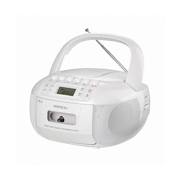 期限切れ KODAK SUPRA ENDURA 8X10 N面 2010年頃