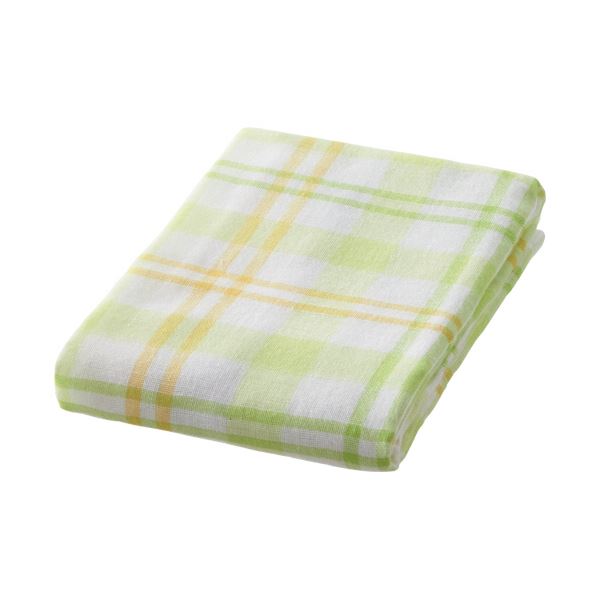 (まとめ) 林 ソーダチェックフェイスタオル グリーン FC449154 1パック(2枚) 〔×10セット〕〔代引不可〕の通販は