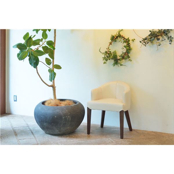 ダイニングチェア パーソナルチェア 幅55cm アイボリー 肘付き 木製 ソフトレザー リビング 在宅ワーク 店舗 インテリア家具〔代引不可〕 ダイニングチェア パーソナルチェア 幅55cm アイボリー 肘付き 木製 ソフトレザー リビング 在宅ワーク 店舗 インテリア家具〔代引不可〕