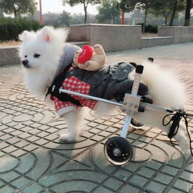 犬用車椅子 ペット用車椅子 ペット歩行器 後肢障害ペット用 後足支持 ...