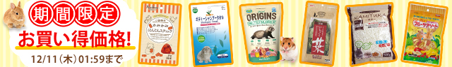期間限定 小動物商品がお買い得!