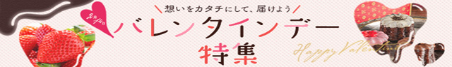 チョコスイーツなどバレンタインギフト特集