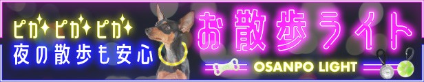 お散歩ライト