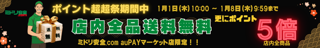 当店の店内全品ポイント5倍×送料無料