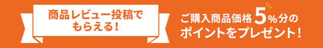 レビュー投稿