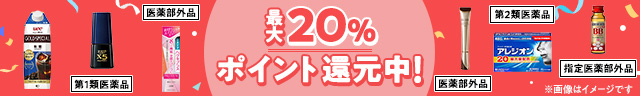最大20％ポイント還元中！