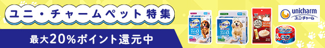 最大20％ポイント還元中！