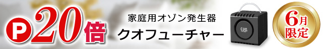 6月限定 クオフューチャーP20