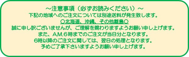 予約受付中】【送料無料】数量限定　PAY　マーケット　鷲羽　11種11品セット（約2〜3人前）　1セット　おせち　au　マーケット－通販サイト　PAY　お正月の通販はau　PAY　au　四国うまいもんや　マーケット店　カモ井　おせち料理