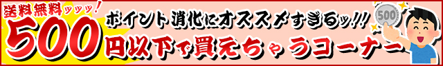 送料無料500円以下!ポイント消化に!