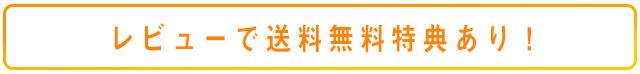 レビューを書いて送料無料キャンペーン開催中!!
