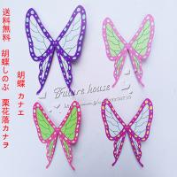 Au Webポータル Auショッピング検索で 胡蝶カナエ を検索