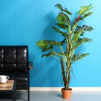 Au Webポータル Auショッピング検索で 観葉植物 フェイク を検索 5 Au Webポータル Auショッピング検索で 観葉植物 フェイク を検索 5