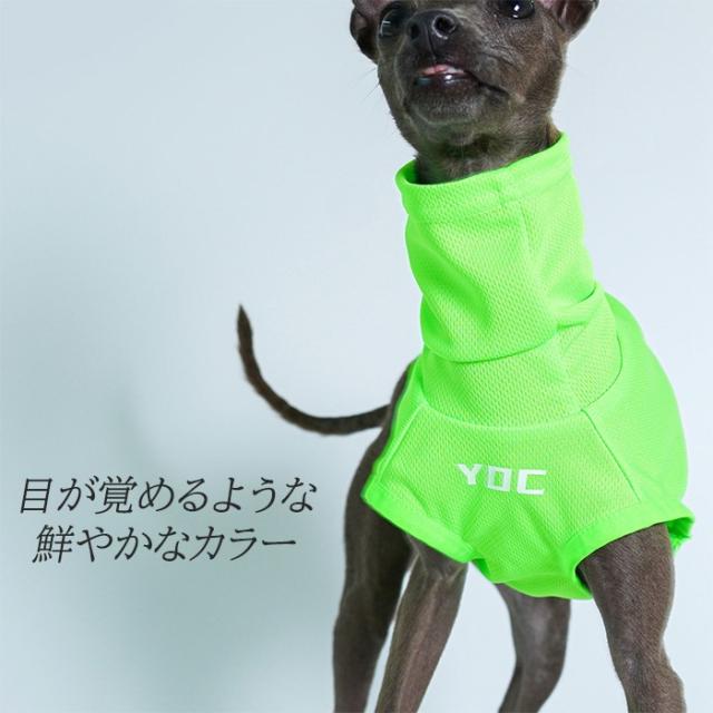 商品画像5