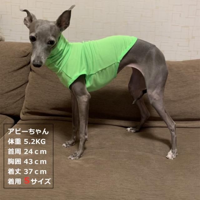 商品画像16