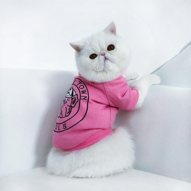 商品画像16