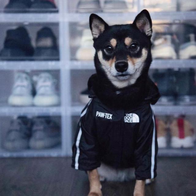 商品画像17