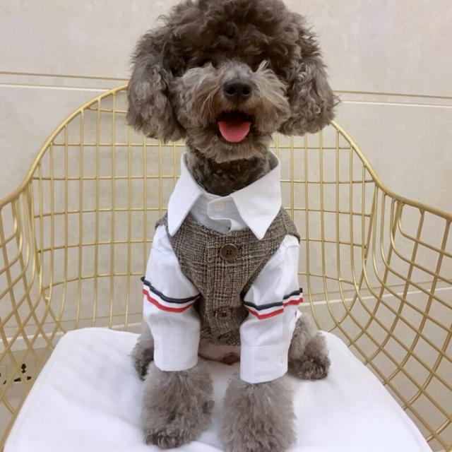 商品画像11