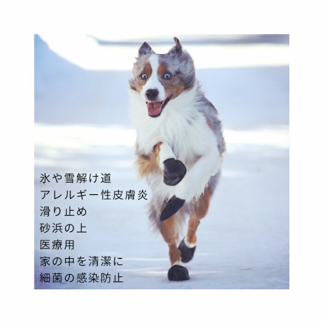 商品画像7
