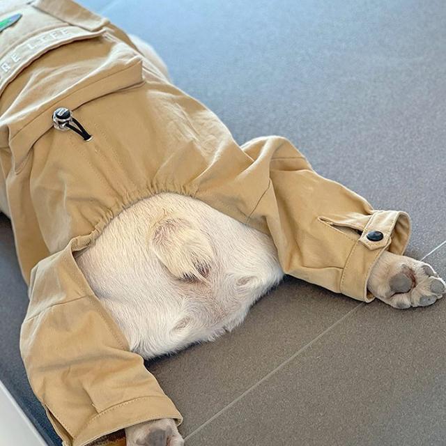 商品画像5