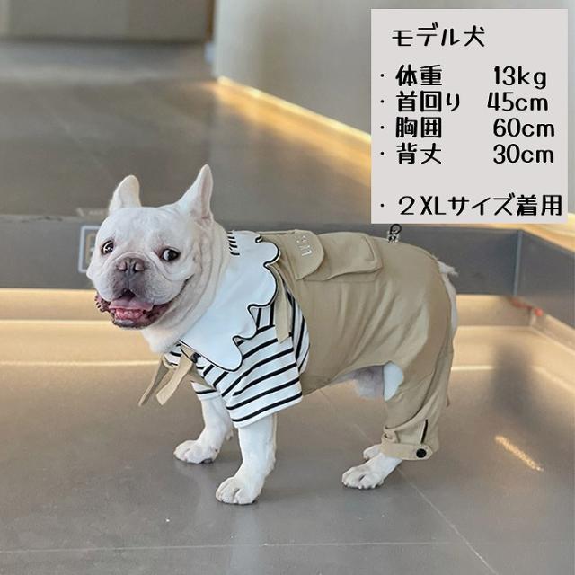 商品画像6