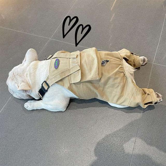 商品画像9