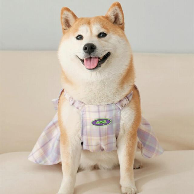 商品画像10
