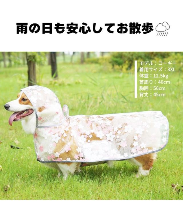 商品画像2