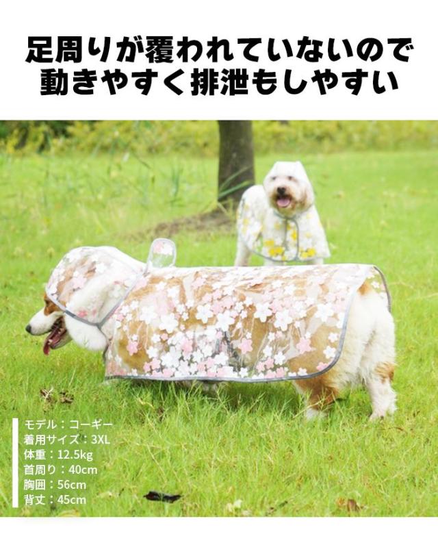 商品画像6