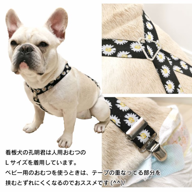 商品画像11