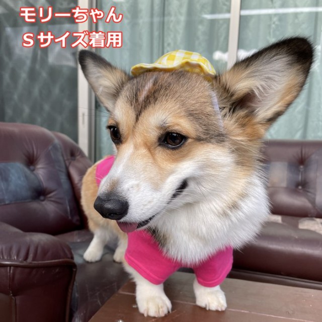 300円クーポン付き】ペット帽子 犬 猫用 アクセサリー 写真撮影