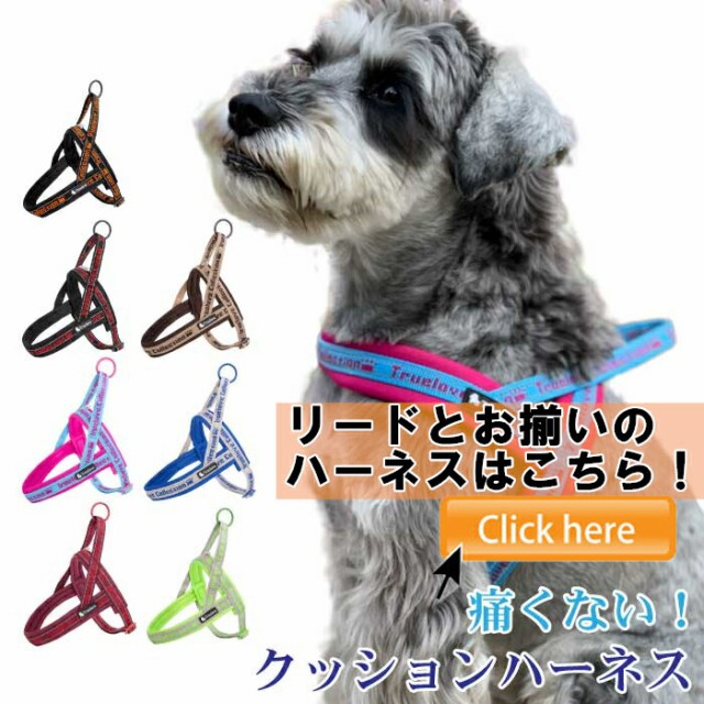 300円クーポン付き】犬 リード 犬用 小型犬 中型犬 おしゃれ ソフト