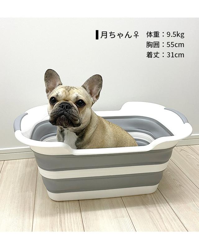 商品画像11