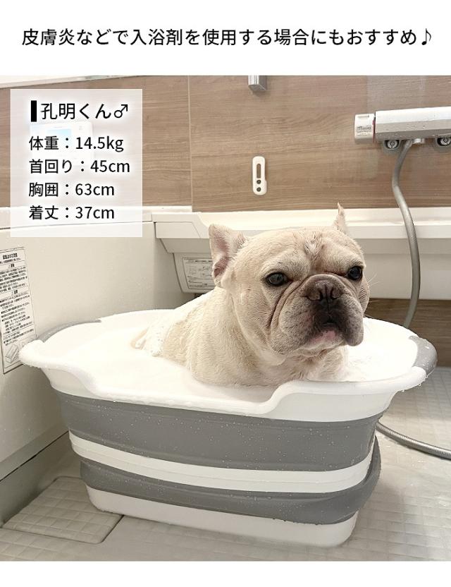商品画像12