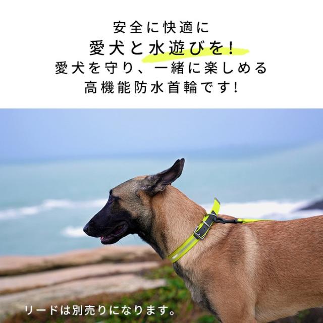 商品画像2