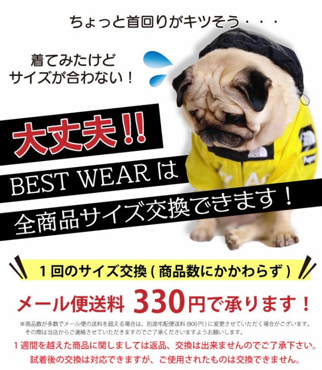 商品画像2