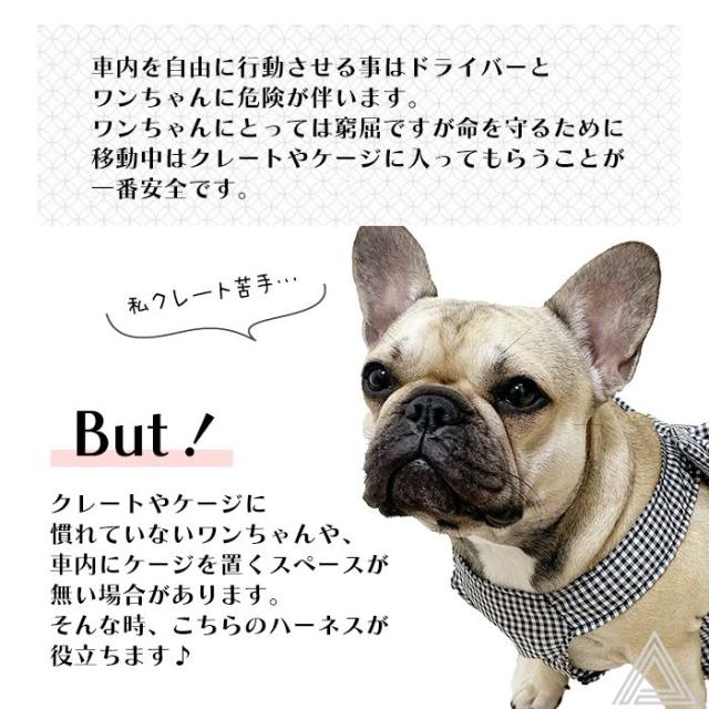 商品画像12