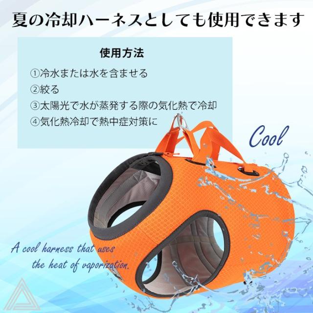 商品画像15
