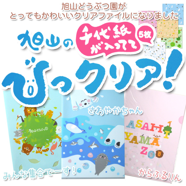 旭山動物園グッズ☆旭山の「千代紙が5枚入ってて」びっクリア！クリアファイル
